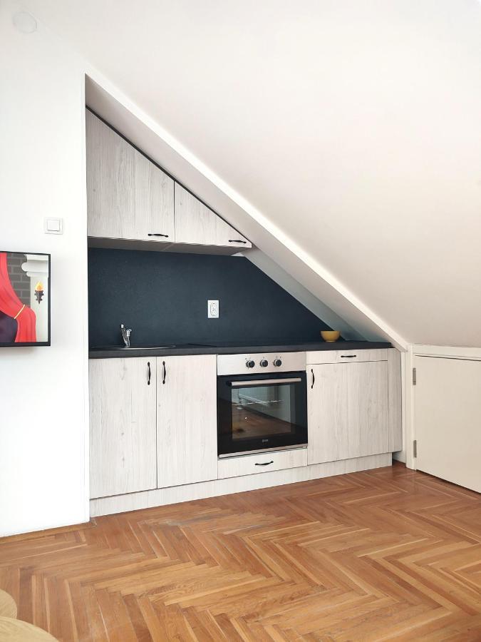 Apartman Ns Dan Private Parking Novi Sad Exterior foto